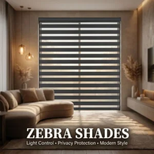 Zebra Roller Shade Sheer and Blackout Striped Window Blind Day and Night Chain Control Custom Width